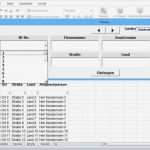 Access Vorlagen Kundenverwaltung Erstaunlich Groß Kundendatenbank Vorlage Excel Zeitgenössisch Entry