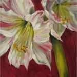 Acrylbilder Vorlagen Für Anfänger Zum Drucken Süß Amaryllis Acryl Bilder Amaryllis Acryl Bild Und Foto