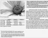 Adobe Indesign Vorlagen Schönste Free Indesign Template with Predefined Paragraph Style