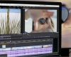 Adobe Premiere Vorlagen Gut Tag Archive for &quot;webdesign&quot;