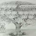 Ahnentafel Vorlage Kostenlos Fabelhaft Ahnentafeln &amp; Stammbäume Beispiele atelier &quot;zeichenfuchs&quot;