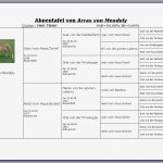 Ahnentafel Vorlage Süß Breeder software Profi Tierzucht software