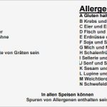 Allergenkennzeichnung Vorlage Genial Speisekarte Spassvogel Materborn