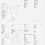 Anamnesebogen Vorlage Kosmetikerin Bewundernswert Erfreut Körperliche Untersuchung formular Ideen Bilder