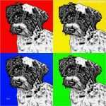 Andy Warhol Vorlage Elegant Hunde Pop Art Hundeportraits Im andy Warhol Stil Hunde