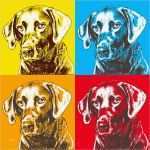 Andy Warhol Vorlage Erstaunlich Hunde Pop Art Hundeportraits Im andy Warhol Stil Hunde