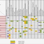 Anforderungsliste Vorlage Einzigartig Raci Matrix