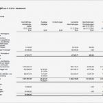 Anlagenspiegel Excel Vorlage Hübsch Hgb Datev Konformer Anlagenspiegel Teil 1