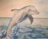 Aquarell Malen Vorlagen Bewundernswert Dolphin S Jump Bild Kunst Von Alfimoor Bei Kunstnet