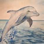 Aquarell Malen Vorlagen Bewundernswert Dolphin S Jump Bild Kunst Von Alfimoor Bei Kunstnet