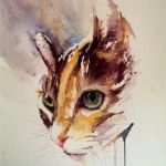 Aquarell Malen Vorlagen Genial Die Katze Sarah Stokes Kunst Pinterest