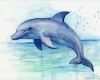 Aquarellbilder Vorlagen Hübsch Aquarell Kunstdruck Poster Delphin Delphin Malerei Dolphin