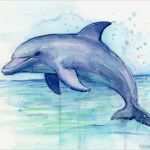 Aquarellbilder Vorlagen Hübsch Aquarell Kunstdruck Poster Delphin Delphin Malerei Dolphin