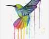 Aquarellbilder Vorlagen Wunderbar Hummingbird Watercolor Rainbow Painting by Olga Shvartsur