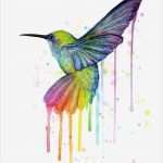 Aquarellbilder Vorlagen Wunderbar Hummingbird Watercolor Rainbow Painting by Olga Shvartsur