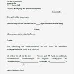 Arbeit Kündigungsschreiben Vorlage Großartig Arbeitnehmer Paket Kündigungen Abmahnungen sofort Download