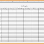 Arbeitsplan Vorlage Einzigartig 15 Arbeitsplan Vorlage Pdf