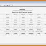 Arbeitsplan Vorlage Neu 11 Arbeitsplan Vorlage Pdf
