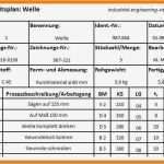 Arbeitsplan Vorlage Wunderbar 9 Arbeitsplan Muster