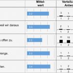 Auswertung Fragebogen Excel Vorlage Wunderbar Iqes Online