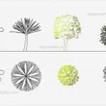 Autocad Blöcke Vorlagen Schönste ornamental Trees Cad Blocks Free Dwg File