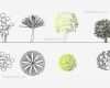 Autocad Vorlagen Elegant ornamental Trees Cad Blocks Free Dwg File