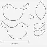 Ay Yildiz Kündigung Vorlage Erstaunlich Printable Bird Pattern Template