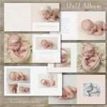 Babyalbum Gestalten Vorlagen Beste Stage forms Recovered Copy O Album Layouts