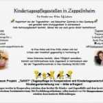 Babysitter Flyer Vorlage Einzigartig Fantastisch Babysitter Vorlagen Fotos Entry Level Resume