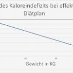 Bauherren Tagebuch Vorlage Erstaunlich Nett Diät Planer Vorlage Zeitgenössisch