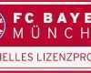 Bautafel Bayern Vorlage Cool Fizieller Feuerkorb Des Fc Bayern Für Ihre Fußballparty