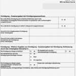 Beratungsprotokoll Pflege Vorlage Cool Personalfragebogen Elena Kündigung Pdf