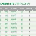 Bestandsliste Excel Vorlage Einzigartig Gewinn Und Verlust Excel