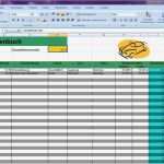 Bestandsliste Excel Vorlage Wunderbar atemberaubend Excel Bestandslistenvorlage Ideen Bilder