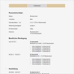 Bewerbung Deckblatt Vorlage Pdf Erstaunlich Bewerbung Vorlage Word Bewerbung