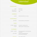 Bewerbung Vorlage Muster Inspiration Bewerbung Als Muster