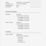 Bewerbung Xing Vorlage Angenehm Bewerbungsmuster Tabellarischer Lebenslauf