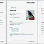 Bewerbungsflyer Vorlagen Kostenlos Download Erstaunlich Bewerbungsvorlagen Für Libreoffice