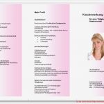 Bewerbungsflyer Vorlagen Kostenlos Download Neu atemberaubend Lebenslauf Broschüre Vorlage Kostenlos Ideen