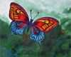 Bilder Acryl Vorlagen Erstaunlich Schmetterling Acryl Bilder Schmetterling Acrylbild Und