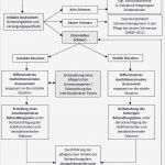 Biografiearbeit Mit Kindern Vorlagen Erstaunlich Neuer Expertenstandard &quot;chronische Schmerzen&quot; Teil 3 4