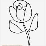 Blumen Zeichnen Vorlagen Inspiration Blumen Malvorlagen Blatt Pinterest