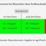 Blutzucker Tabelle Vorlage Einzigartig Blutzuckerwerte Tabelle