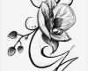 Buchstaben Zeichnen Vorlage Gut Blumenranken Tattoo 20 Schöne Vorlagen Für Diverse