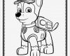 Bügelperlen Vorlage Paw Patrol Erstaunlich Desenhos Para Colorir Chase Patrulha Canina