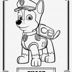 Bügelperlen Vorlage Paw Patrol Erstaunlich Desenhos Para Colorir Chase Patrulha Canina