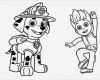 Bügelperlen Vorlage Paw Patrol Erstaunlich Paw Patrol Ausmalbilder Malvorlagen