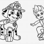 Bügelperlen Vorlage Paw Patrol Erstaunlich Paw Patrol Ausmalbilder Malvorlagen