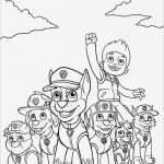 Bügelperlen Vorlage Paw Patrol Fabelhaft 21 Besten Paw Patrol Ausmalbilder Bilder Auf Pinterest