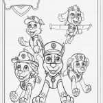 Bügelperlen Vorlage Paw Patrol Inspiration Luxus Ausmalbilder Paw Patrol Kostenlos